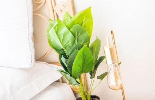 Le Lotus - Tram - Foto 14