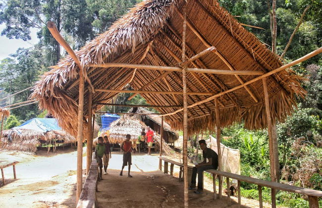 Excursion dans la jungle Taman Negara - Photo 7