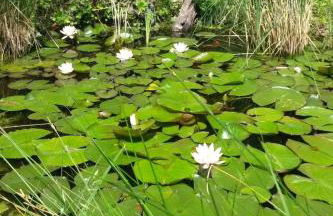 Apartment zum Spaal by Interhome - Foto 19