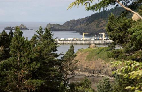 Stunning Cabin Rental with Incredible Ocean Views along the Oregon Coast - Foto 7