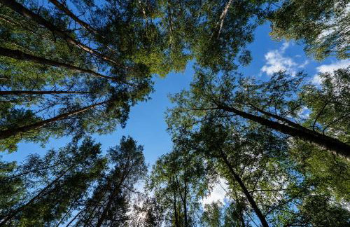 Duża Woda - Foto 24