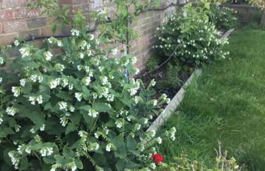 The Cottages by the Sea Free parking - Foto 5