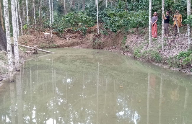 Enjoy The Real "wayanad Village Home Stay" Experience - Foto 15