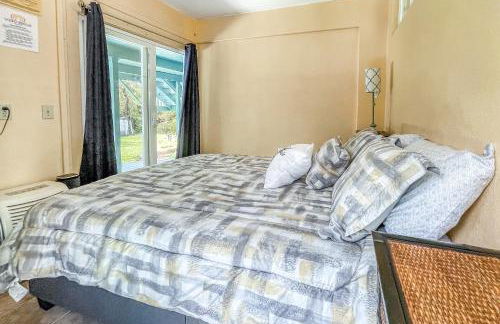 Kahu 'lo - Guardian Hawk - Foto 11