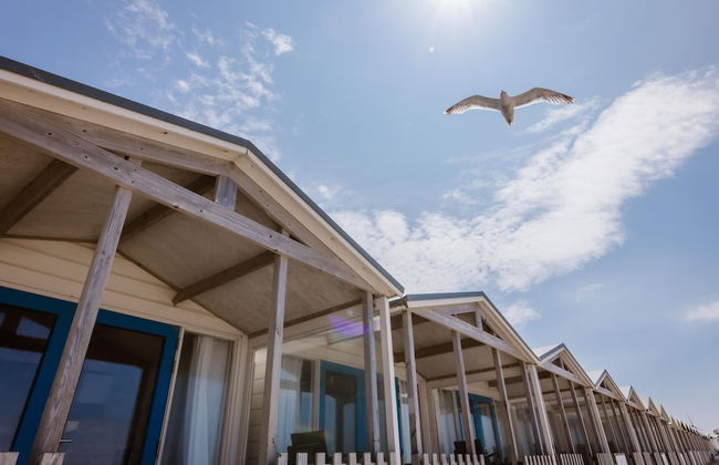 Beach House in Wijk aan Zee With Sea View - Foto 1