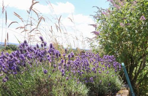 Cottam Cottage Farm - Foto 22