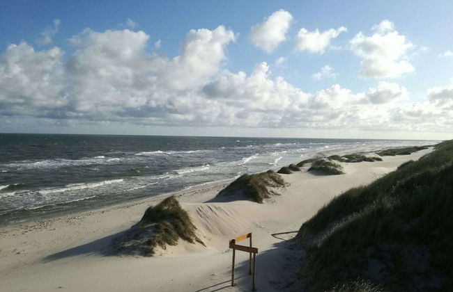 Fantastic House, Located Among Meadows and Nature, Near the Sea - Photo 59