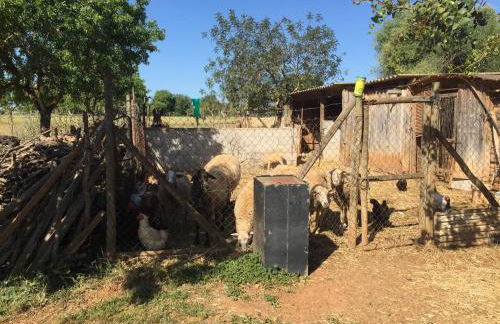 Bonita casa de campo Sa Vinya para relax y piscina privada - Foto 51