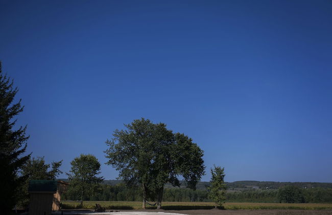 Boho Beaver - Foto 28