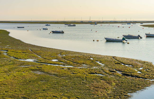 Ria Formosa Speed Boat Tour - Photo 1