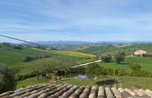 Il Casale dello chef - Foto 13