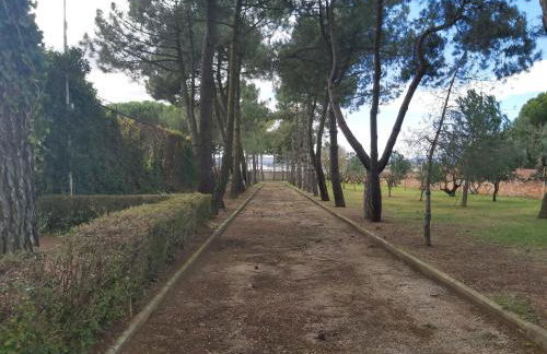 Finca Llamazares - Foto 16