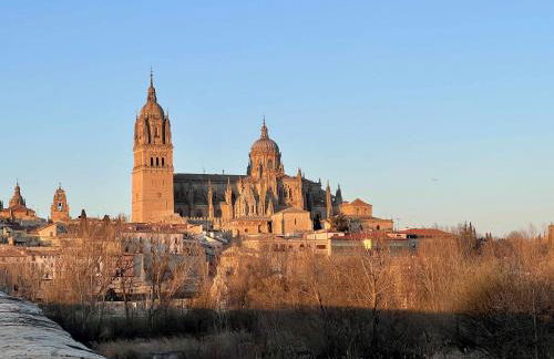 Almamater salamanca - Foto 41