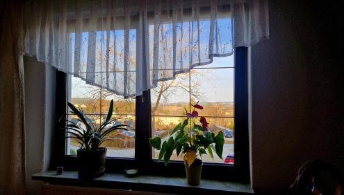 Waldbühnenblick - Foto 5