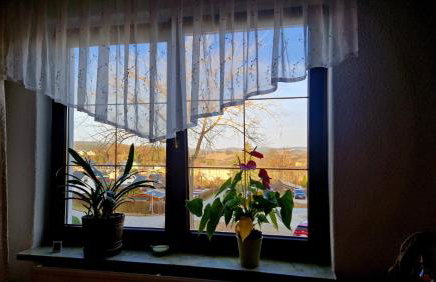 Waldbühnenblick - Foto 5