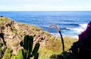 La Pardela Oceanfront - Foto 35