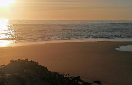 Casa Colmeia - Foto 36