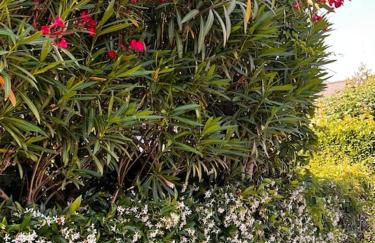 Holiday Home - Italo & Dada - Foto 8