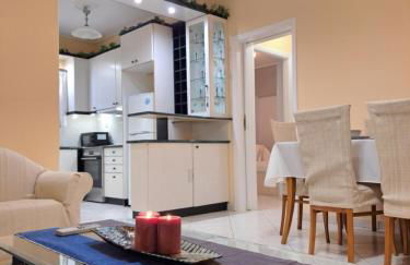 Four seasons apartment - Foto 11