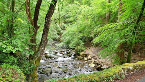 Finest Retreats - Hermon Bach - Foto 3, Garden, Garden view