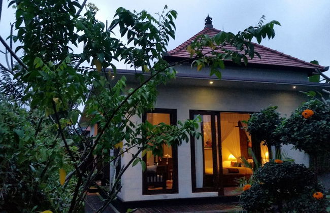 Ubud Paradise Villa - Photo 29