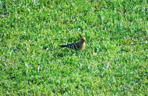 Agriturismo Il Sambuco - Foto 61