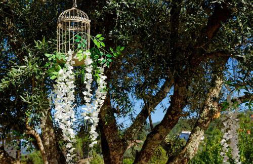Refúgios do Rio Dão - Foto 60