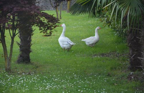 Apartment Monika - Foto 12