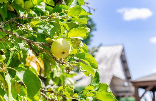 Peak View Corvallis - Spacious Outdoor Dining w/Fire Table - Close to Downtown & OSU - Foto 34