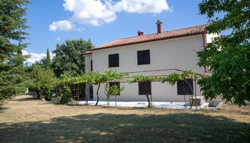 Apartman Jala - Foto 4, Garden