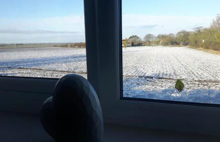 Coastal Annex at Saltfleet - Foto 24