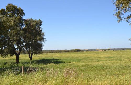 Fazenda do Medronhal - Photo 12
