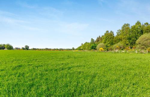 The Laurels - Foto 31