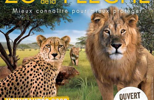 Gîte La Terrasse du Loir à 2km du Zoo de la Flèche - Photo 38