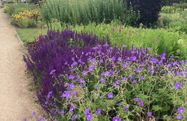 Bulldog Cottage - Photo 14