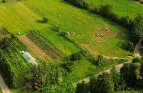Willa Spokojna Przystań nad Strumykiem - Foto 30