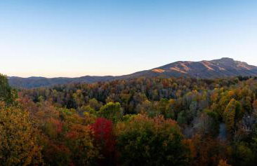 S'More To Love - Foto 8