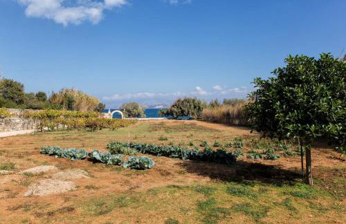 BilMar Sea Side - Photo 27