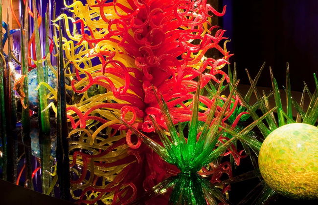 Tampa Bay CityPASS® - Foto 1