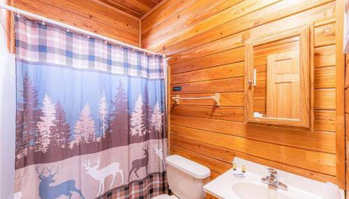 Cabin #5 Black Bear - Pet Friendly - Sleeps 6 - Playground & Game Room - Foto 4, towels, Shower