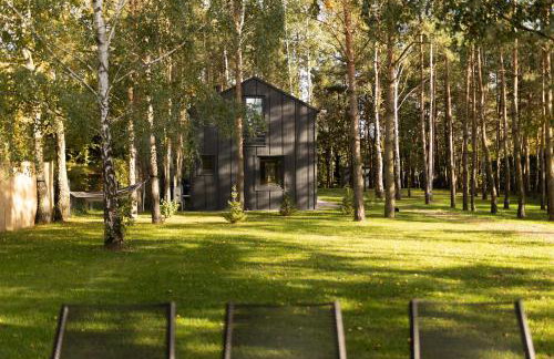 Jemioła Chaty Niedźwiady Małe - Foto 28