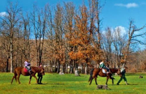 ΑΡΧΟΝΤΙΚΌ Μουζάκι ΚΑΡΔΙΤΣΑ ΤΡΙΚΑΛΑ - Photo 37