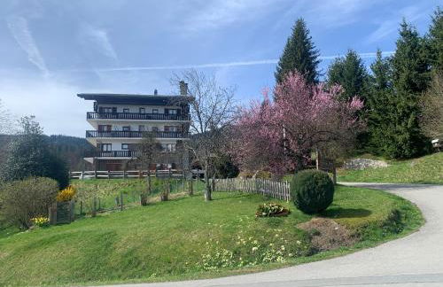 appartement T2 pour 6 personnes à Combloux - Photo 16