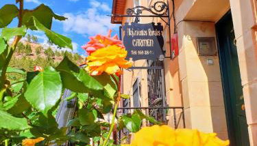 Alojamientos Carmen - Foto 2