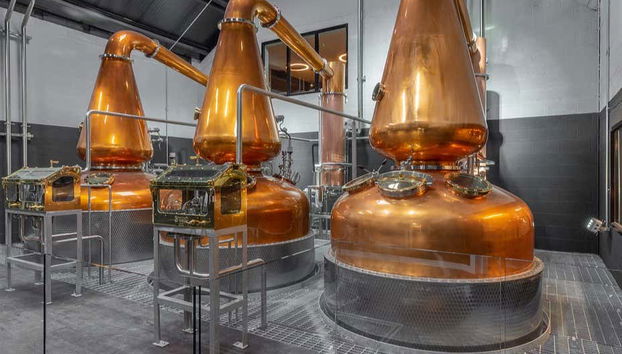 Dublin Liberties Distillery Guided Tour - Foto 2