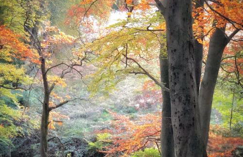 River View - Photo 32