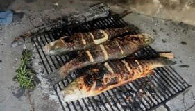 Studio Apartment Lile - Foto 4