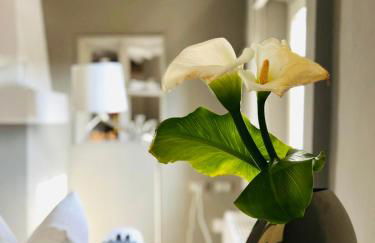 La Casetta di Borgo Appartamento Albero - Foto 6