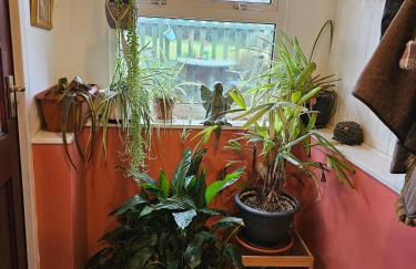 Cheerful, bright, cosy period cottage with hot tub - Foto 8