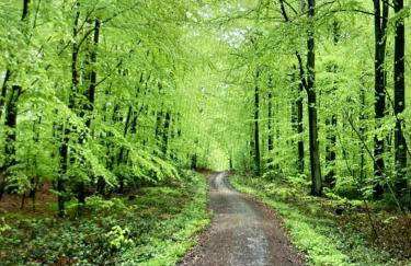 Landhaus Högelia Flensbúrger Förde - Foto 26